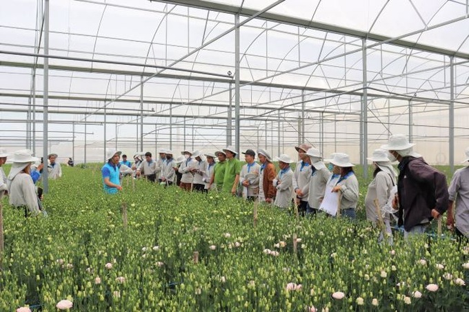 Các hoạt động của Yara Việt Nam 3