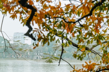 Hà Nội đẹp lạ lùng mùa cây thay lá