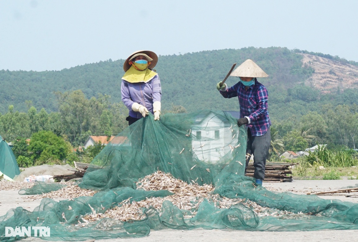 Nửa đêm mang cá đi rải, giữa trưa cầm gậy đập cật lực để lấy tiền - 6 Nửa đêm mang cá đi rải, giữa trưa cầm gậy đập cật lực để lấy tiền - 6