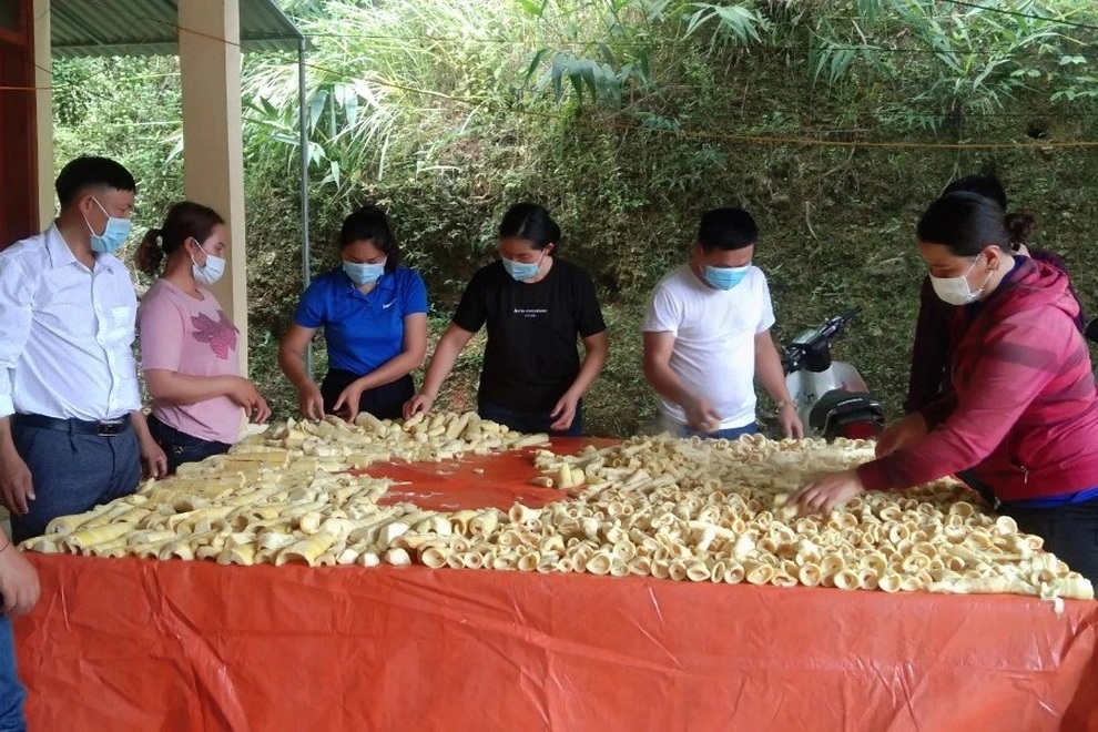 Người dân nghèo biên giới lên rừng hái sản vật ủng hộ khu cách ly - 5 Người dân nghèo biên giới lên rừng hái sản vật ủng hộ khu cách ly - 5