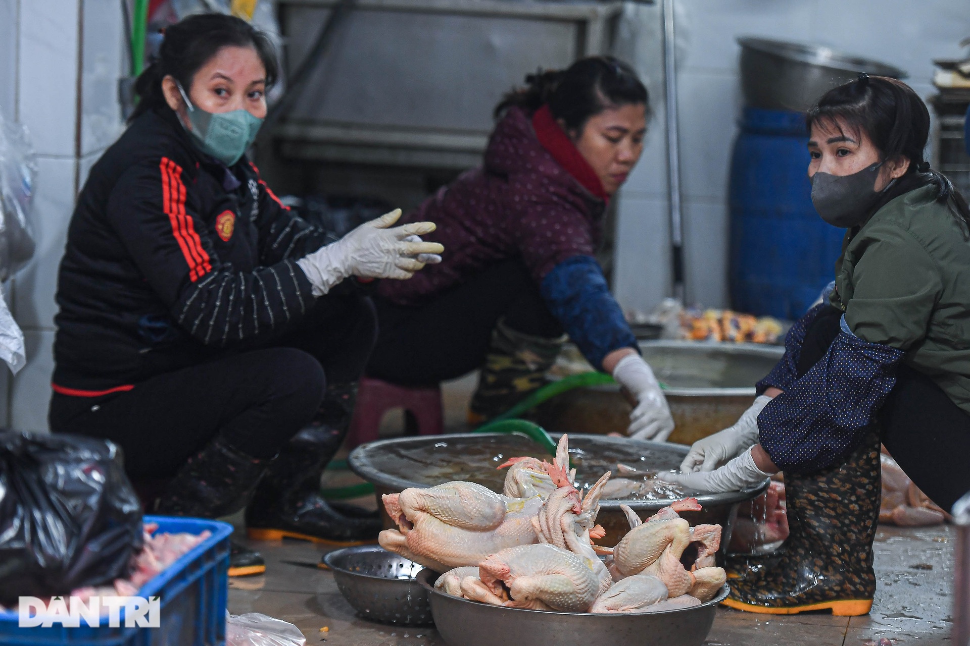 Xếp hàng mua gà ngậm hoa hồng ở khu chợ nhà giàu nổi tiếng Hà Nội - 6 Xếp hàng mua gà ngậm hoa hồng ở khu chợ nhà giàu nổi tiếng Hà Nội - 6