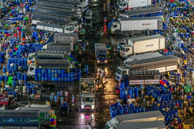 Gần 100 tấn cá lóc miền Tây ồ ạt về TPHCM trước ngày vía Thần Tài