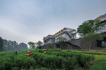 Nhà máy chè bỏ hoang ở Trung Quốc biến thành resort 5 sao khi được cải tạo