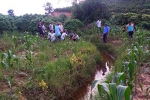 Phát hiện thi thể nạn nhân dưới suối nghi bị sát hại