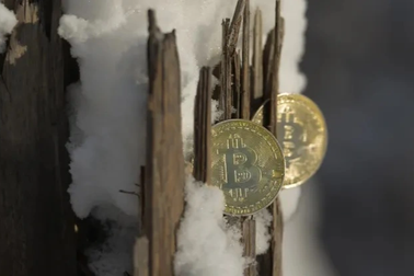 "Mùa đông tiền điện tử" khiến Google giảm doanh thu