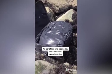 Cả nhóm ra biển chơi, giật mình phát hiện chiếc vali khả nghi bốc mùi thối