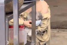 Clip "cô gái và hành động gây tranh cãi với chó cưng" làm xôn xao dân mạng