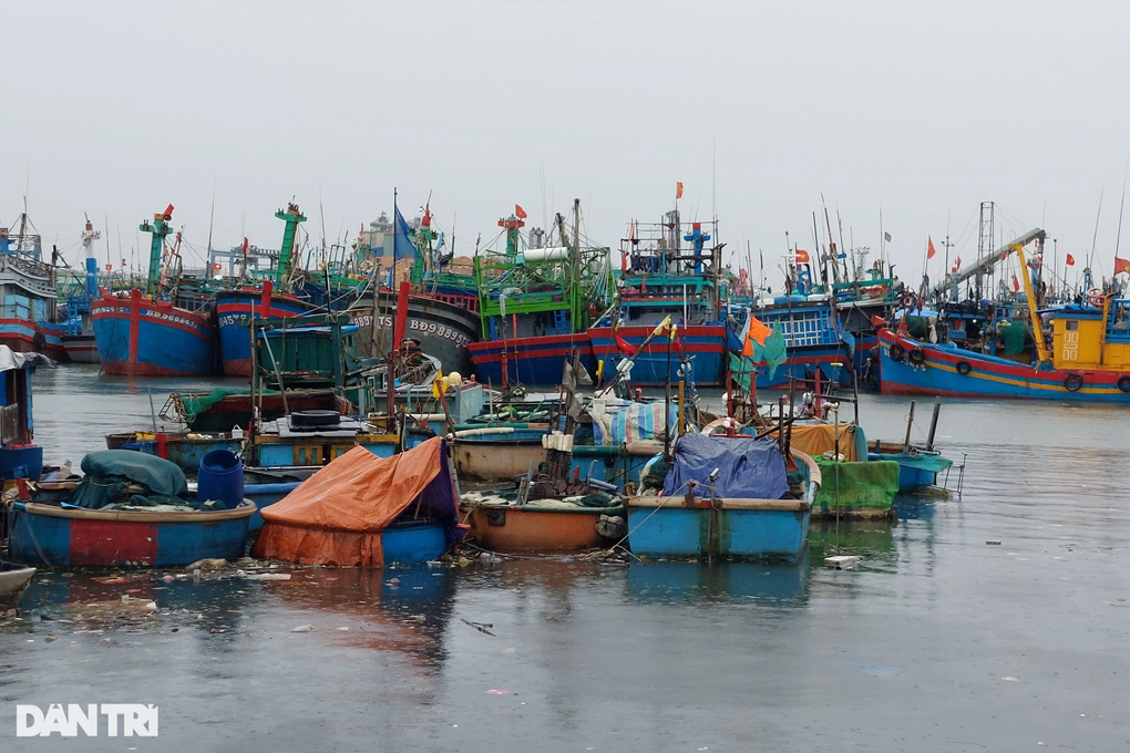 Di dời hơn 1.000 tàu cá tại biển Quy Nhơn để phát triển du lịch - 1 Di dời hơn 1.000 tàu cá tại biển Quy Nhơn để phát triển du lịch - 1