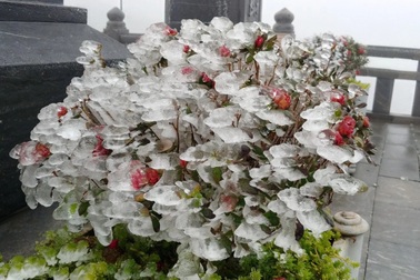 Băng giá phủ trắng khu vực đỉnh Fansipan trong cái rét nàng Bân