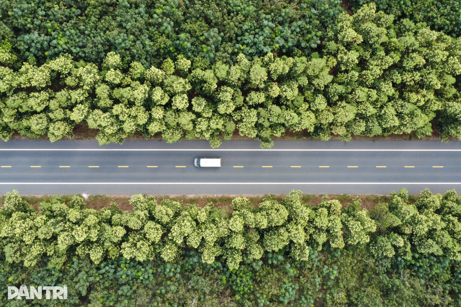 Đường Hồ Chí Minh đoạn qua TPHCM sắp thông xe sau thời gian dài đắp chiếu - 9 Đường Hồ Chí Minh đoạn qua TPHCM sắp thông xe sau thời gian dài đắp chiếu - 9