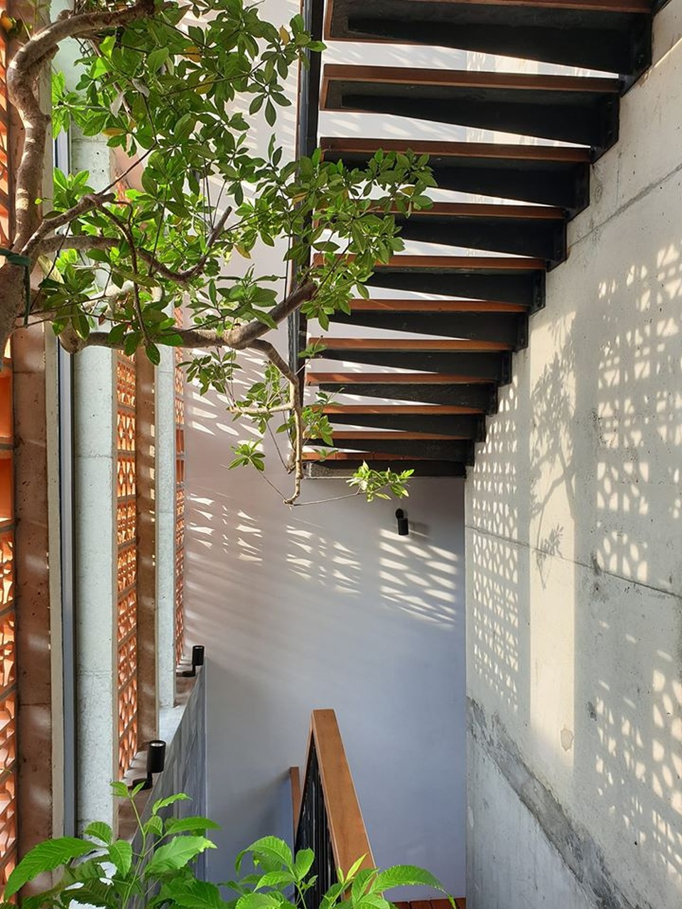 Gia đình trẻ ở Đà Nẵng làm vườn, nuôi cá trong biệt thự giữa phố - 4 Gia đình trẻ ở Đà Nẵng làm vườn, nuôi cá trong biệt thự giữa phố - 4