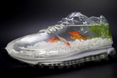 Những hình ảnh ấn tượng tuần qua