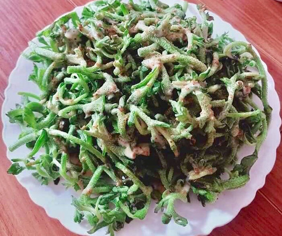Dân Hà Nội lùng mua rau kim cương, đồ lạ mới về giá đắt, cháy hàng - 2 Dân Hà Nội lùng mua rau kim cương, đồ lạ mới về giá đắt, cháy hàng - 2