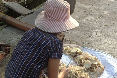 Cuộc chiến cơm thừa: Sóng ngầm trong giới "cơm heo"