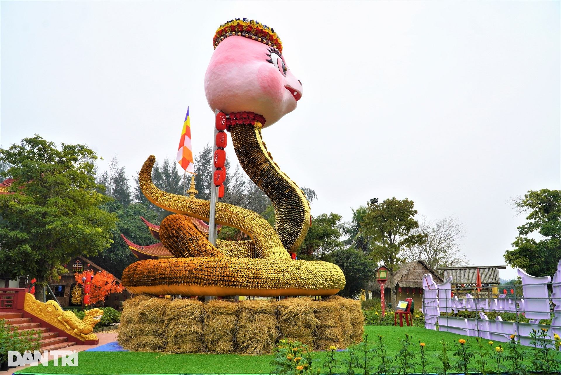 Linh vật rắn siêu dễ thương, đầu đội vòng nguyệt quế trình làng - 8 Linh vật rắn siêu dễ thương, đầu đội vòng nguyệt quế trình làng - 8
