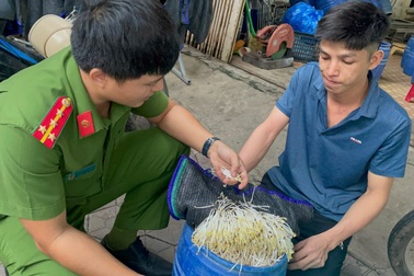 Khởi tố chủ 2 cơ sở dùng hóa chất làm hàng tạ giá đỗ mỗi ngày