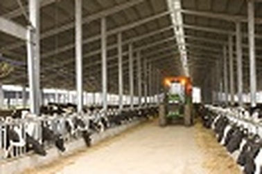 Những chuẩn mực để đánh giá sữa sạch