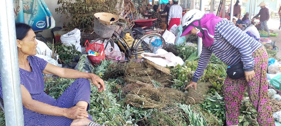 Mùa lá Mùng 5 ở xứ Quảng vào vụ - 3 Mùa lá Mùng 5 ở xứ Quảng vào vụ - 3