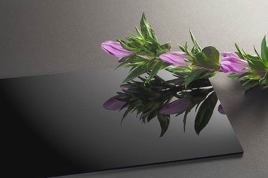 Phát triển nhựa sinh học dựa trên thực vật không ăn được