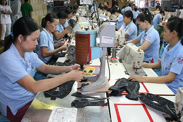 Thanh tra chuyên ngành về đóng BHXH, BHYT