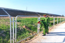 Cắt hàng rào bảo vệ cao tốc Bắc - Nam bán đồng nát