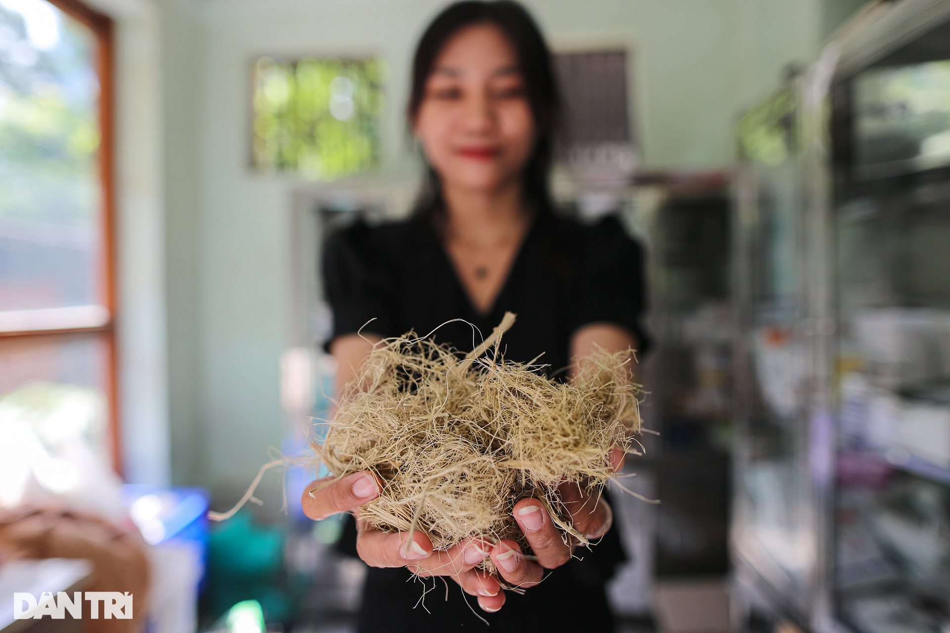 Độc đáo quy trình dùng tay làm giấy từ phân voi ở Thảo Cầm Viên - 8 Độc đáo quy trình dùng tay làm giấy từ phân voi ở Thảo Cầm Viên - 8