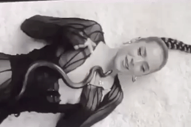 Ca sĩ trẻ Maeta bị rắn cắn vào mặt