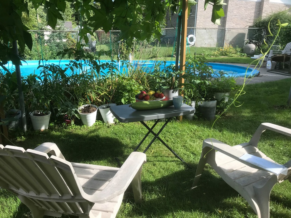 Vườn 600m2 yên bình, bội thu bầu, mướp của gia đình Việt Nam ở Canada - 4 Vườn 600m2 yên bình, bội thu bầu, mướp của gia đình Việt Nam ở Canada - 4