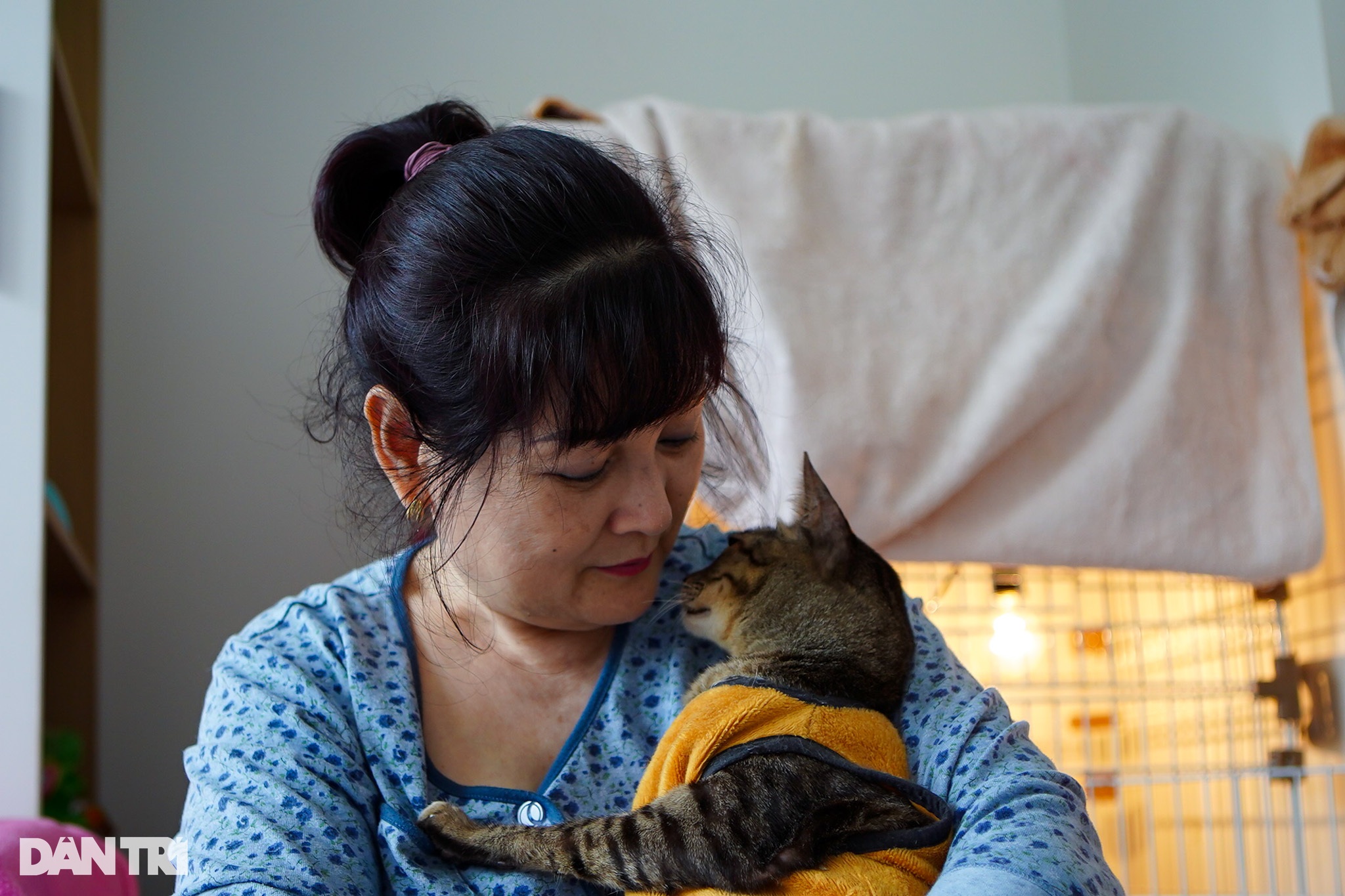 Hành trình bà mẹ Hà Nội 23 năm cứu sống hàng trăm chú mèo liệt bị bỏ rơi - 12 Hành trình bà mẹ Hà Nội 23 năm cứu sống hàng trăm chú mèo liệt bị bỏ rơi - 12