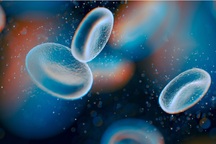 Giải Nobel Y học mở ra hướng đi mới trong cuộc chiến chống ung thư