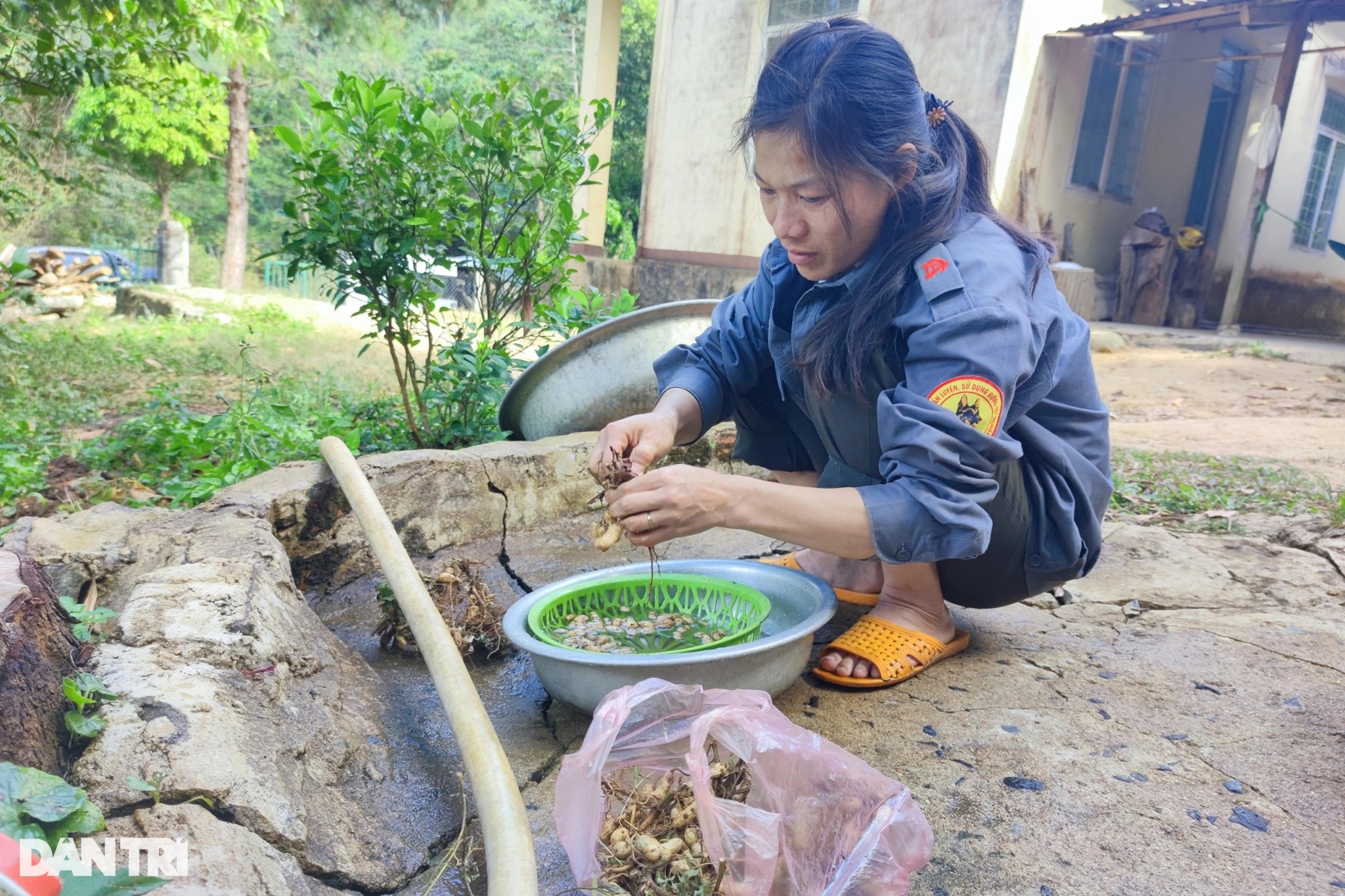 Nữ nhân viên giữ rừng ăn cơm chan nước mắm, ngậm ngùi trong ngày giáp Tết - 2 Nữ nhân viên giữ rừng ăn cơm chan nước mắm, ngậm ngùi trong ngày giáp Tết - 2