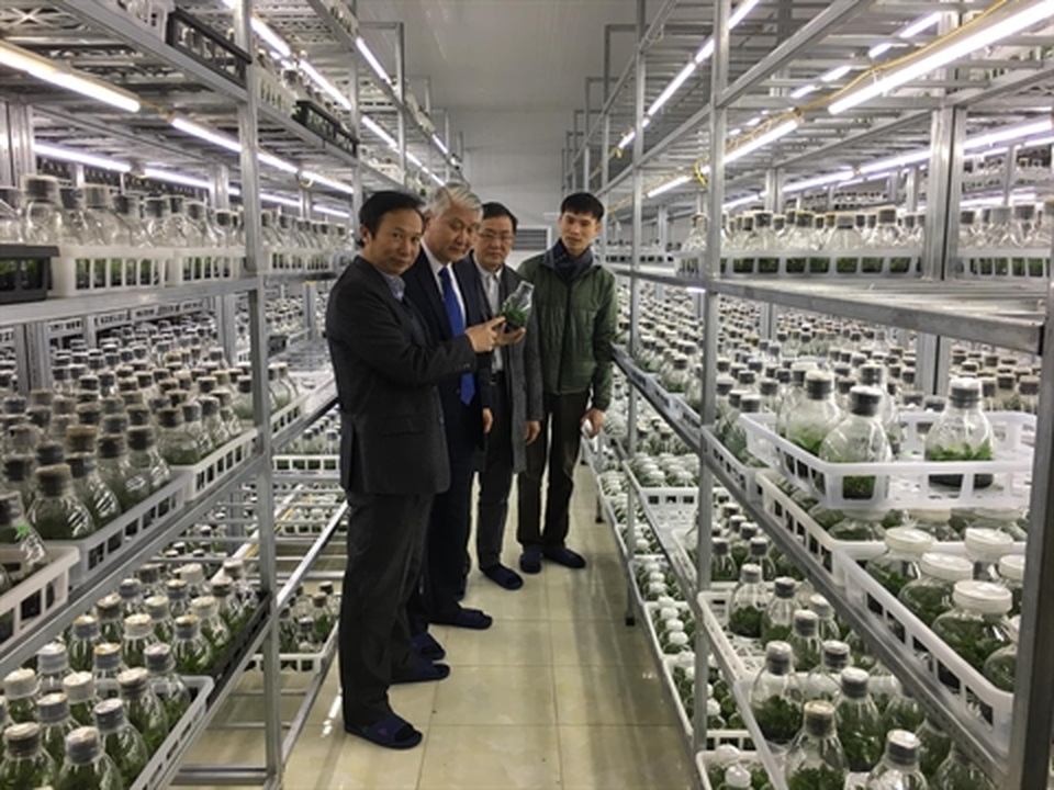 Trái đắng Phi điệp đột biến: Sắp nhiều như lan Hồ điệp - 2 Trái đắng Phi điệp đột biến: Sắp nhiều như lan Hồ điệp - 2