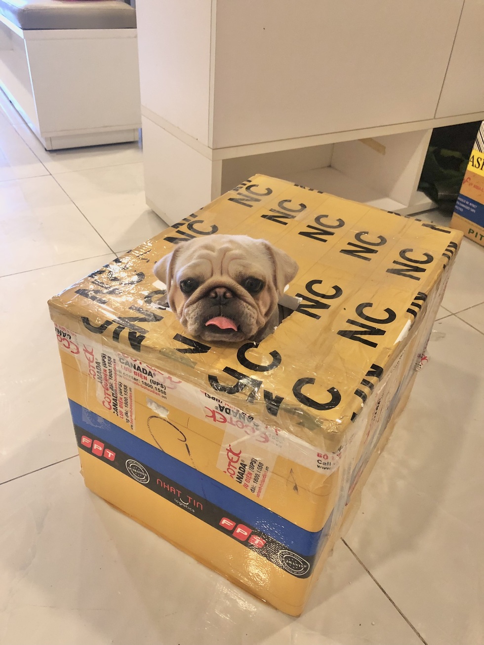 F0 làm phim review tất tần tật về bệnh viện Covid-19 thu hút 4 triệu view - 4 F0 làm phim review tất tần tật về bệnh viện Covid-19 thu hút 4 triệu view - 4