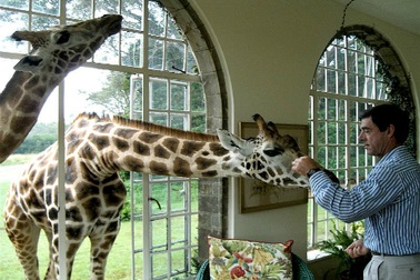 Khách sạn “hươu cao cổ” độc đáo nhất thế giới