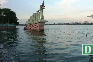 Cá chết hàng loạt nổi trắng góc hồ Tây