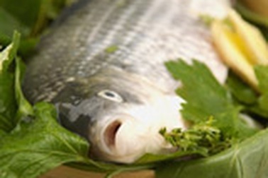 45 - 80% cá nuôi nhiễm sán lá