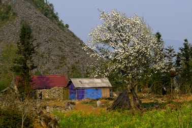 Hình ảnh tuyệt đẹp về những cuộc hành trình mùa đông