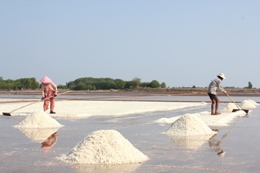 Mưa trái mùa diêm dân... mất Tết !