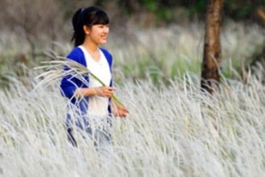 Cánh đồng cỏ lau đẹp như tranh giữa Sài Gòn