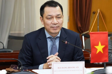 Bổ nhiệm lại Thứ trưởng Bộ Công Thương Đặng Hoàng An