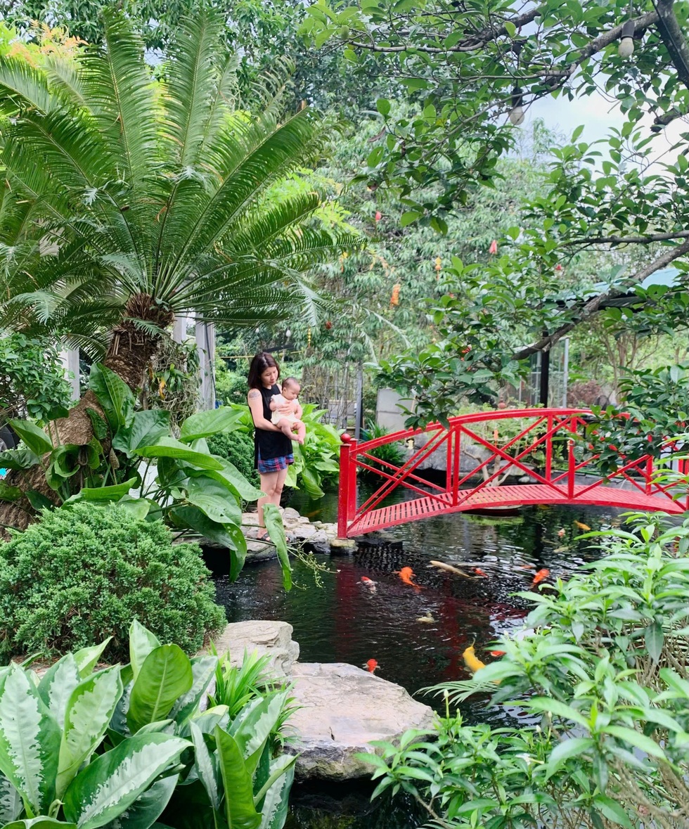 Trốn khói bụi, giám đốc ở Hà Nội về quê làm vườn 3.500m2 ngập hoa trái - 6