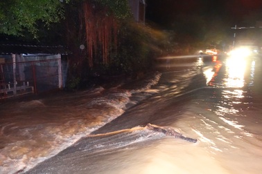 Tràn đê sông Bưởi, hàng trăm hộ dân phải sơ tán