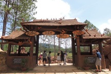 Bé gái bị cây đè tử vong trong khu du lịch Đà Lạt