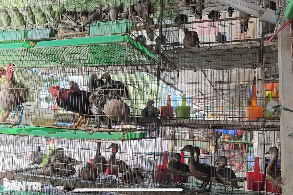 Địa ngục chim trời lớn nhất miền Tây trước khi thành trạm dừng chân - 3 Địa ngục chim trời lớn nhất miền Tây trước khi thành trạm dừng chân - 3