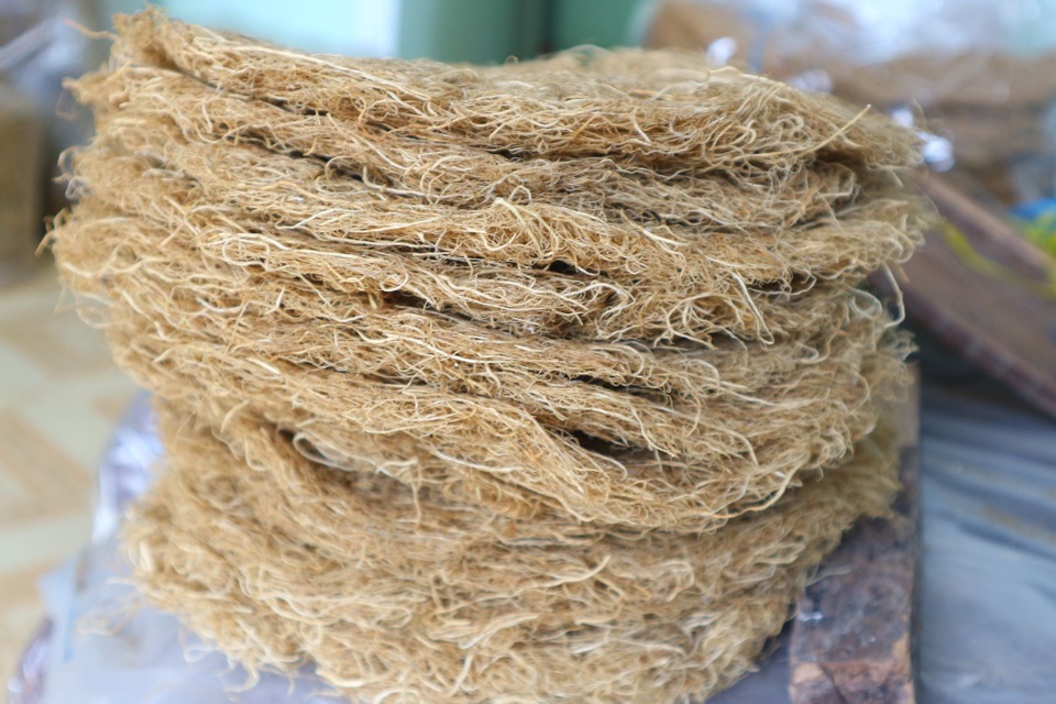 Hấp dẫn loại cây chỉ cần cắm xuống nước mặn, dân thu tiền triệu mỗi ngày - 6 Hấp dẫn loại cây chỉ cần cắm xuống nước mặn, dân thu tiền triệu mỗi ngày - 6