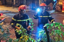 Công an Ninh Bình xuyên đêm khắc phục hậu quả dông lốc