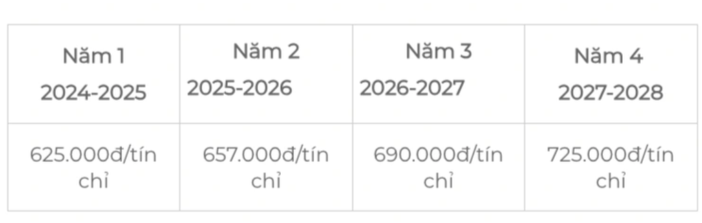Học phí 2024 của Đại học Kinh tế TPHCM cao nhất 3,29 triệu đồng/tín chỉ - 2 Học phí 2024 của Đại học Kinh tế TPHCM cao nhất 3,29 triệu đồng/tín chỉ - 2