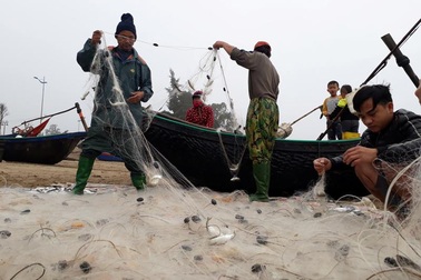 Thanh Hóa: Những chuyến ra khơi đầu năm, ngư dân trúng đậm cá Kiền