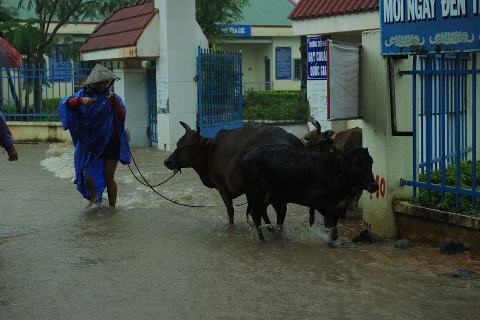 Người dân ngồi nhà sàn nhìn nước ngập mênh mông - 8 Người dân ngồi nhà sàn nhìn nước ngập mênh mông - 8