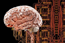 Phát hiện mạng lưới não bí ẩn có thể gây ra nhiều chứng rối loạn tâm thần